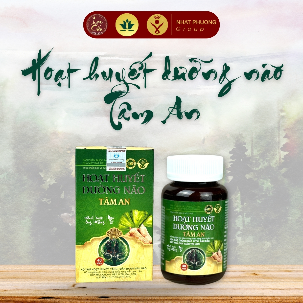 890e0b1cHd36D4E Hoạt Huyết Dưỡng Não Tâm An